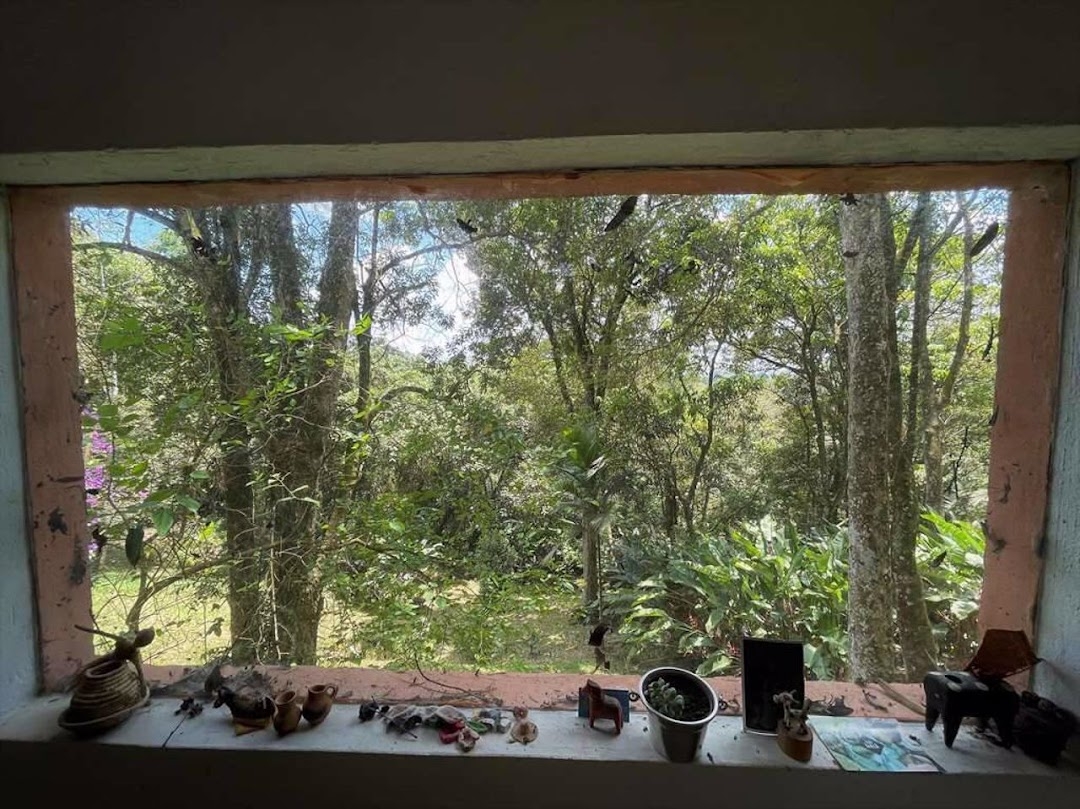 Terreno, 2 hectares - Foto 52