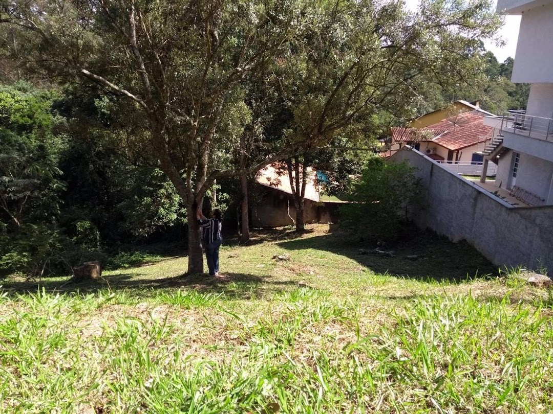 Terreno, 704 m² - Foto 6