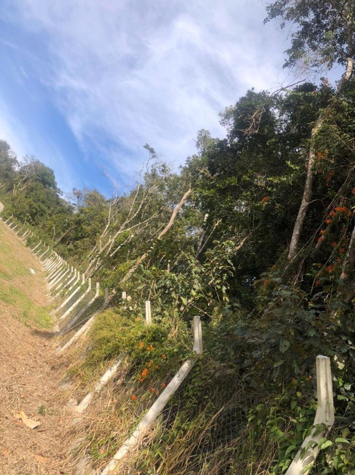 Terreno, 130 m² - Foto 3