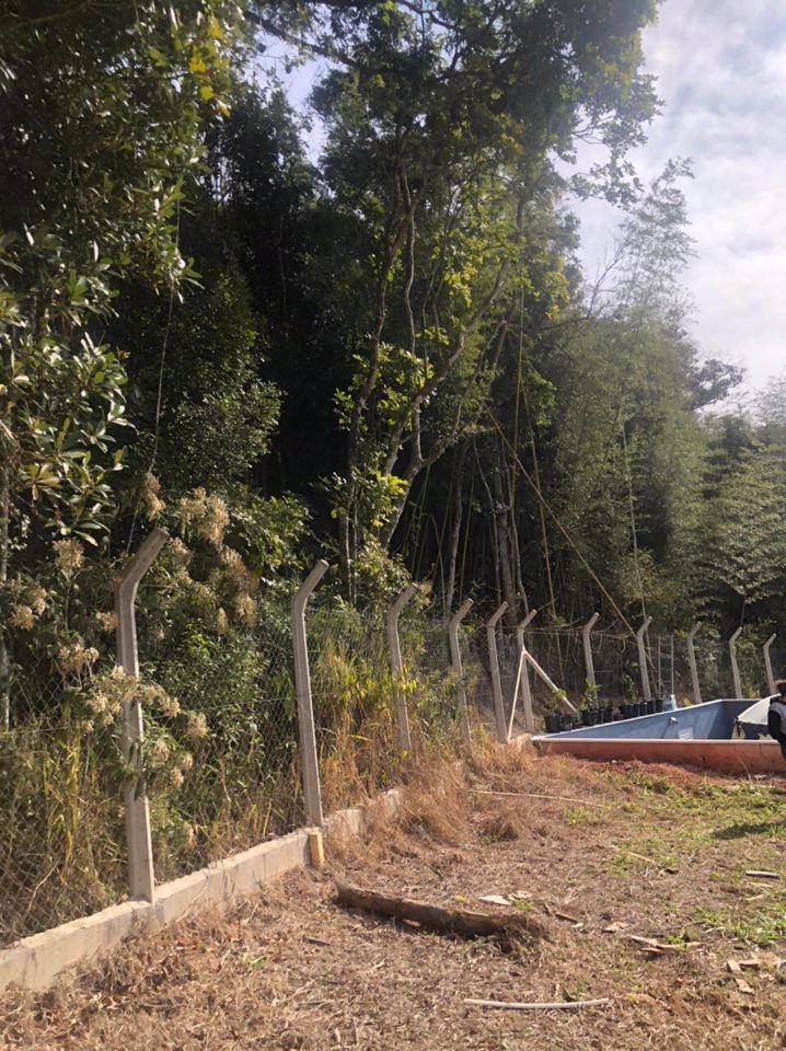 Terreno, 130 m² - Foto 9