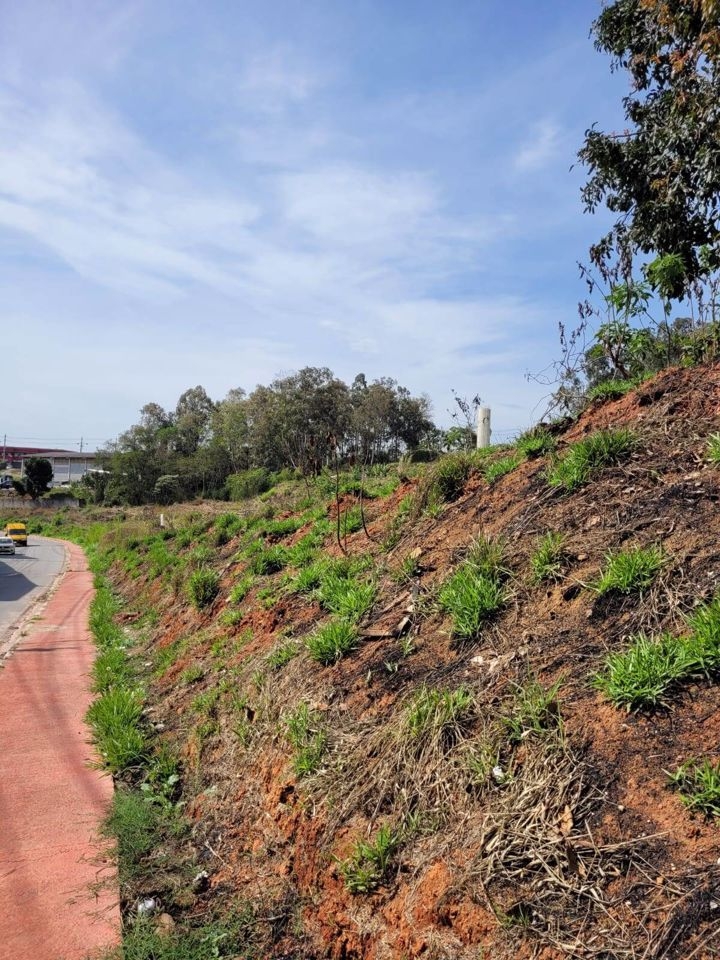 Terreno, 5731 m² - Foto 1