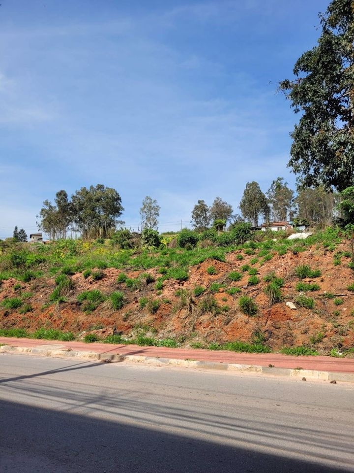 Terreno, 5731 m² - Foto 2