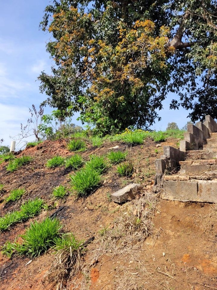 Terreno, 5731 m² - Foto 3