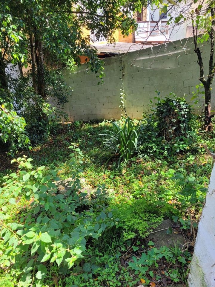 Casa, 3 quartos, 500 m² - Foto 5