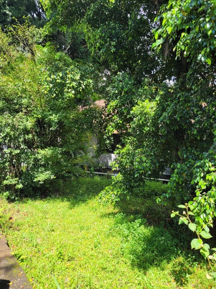 Casa, 3 quartos, 500 m² - Foto 10