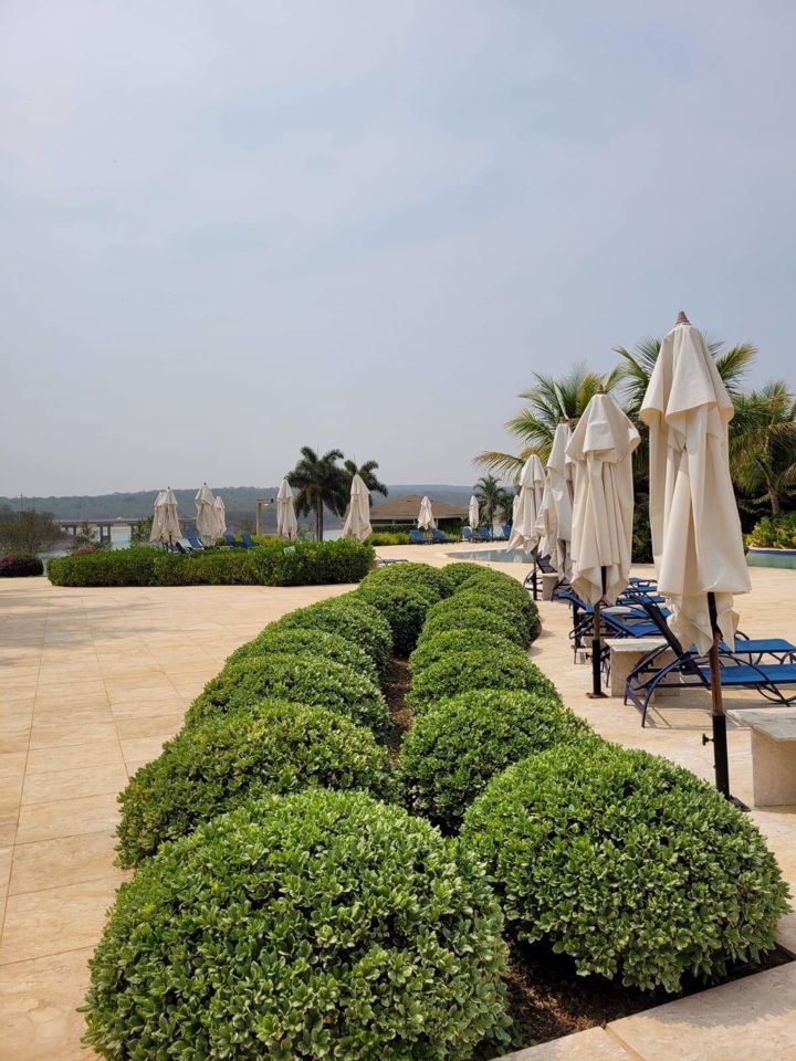 Terreno à venda, 332m² - Foto 11