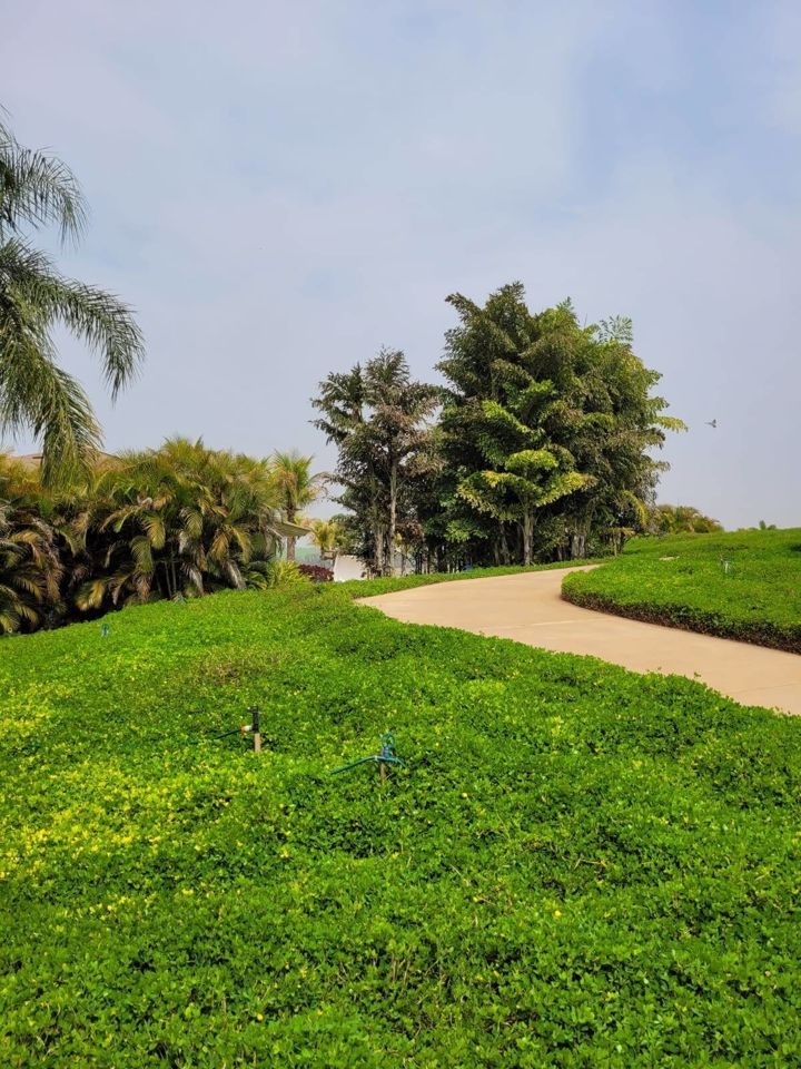Terreno à venda, 332m² - Foto 14