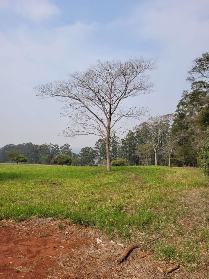 Terreno à venda, 332m² - Foto 27