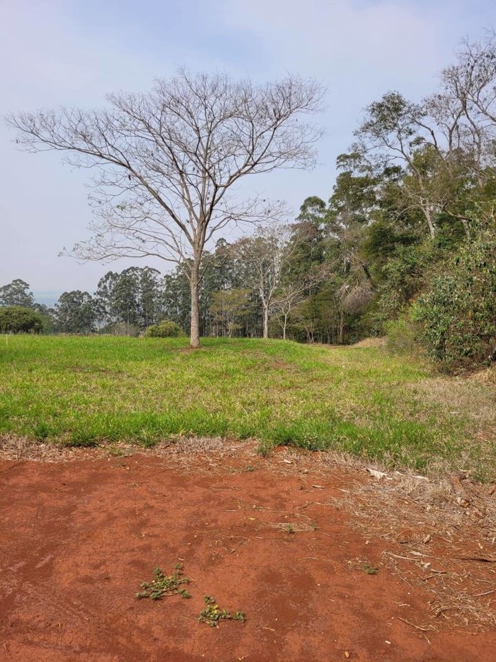 Terreno à venda, 332m² - Foto 49