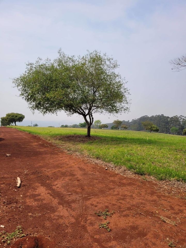 Terreno à venda, 332m² - Foto 50
