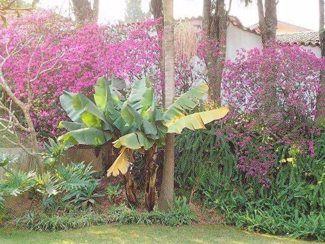 Casa, 4 quartos, 640 m² - Foto 1