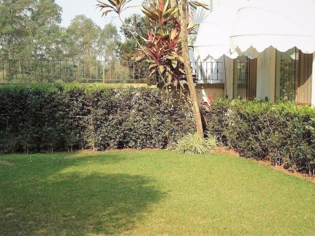 Casa, 4 quartos, 640 m² - Foto 2