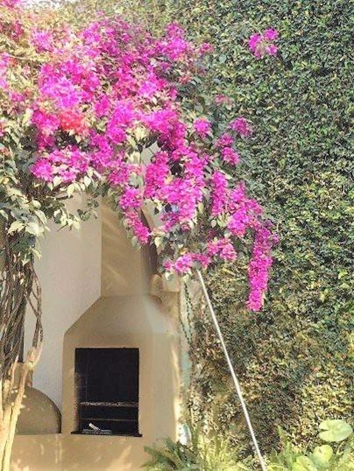 Casa, 4 quartos, 640 m² - Foto 8