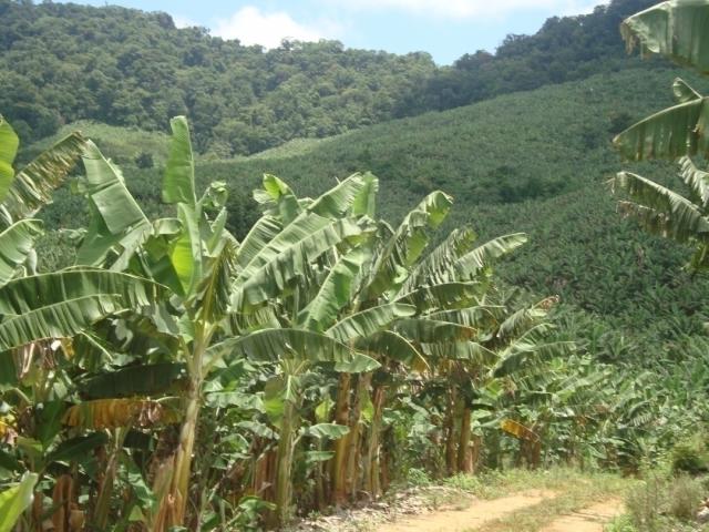 #662 - Fazenda para Venda em Jacupiranga - SP