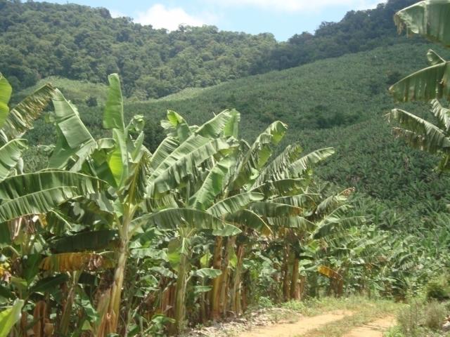 #662 - Fazenda para Venda em Jacupiranga - SP - 1