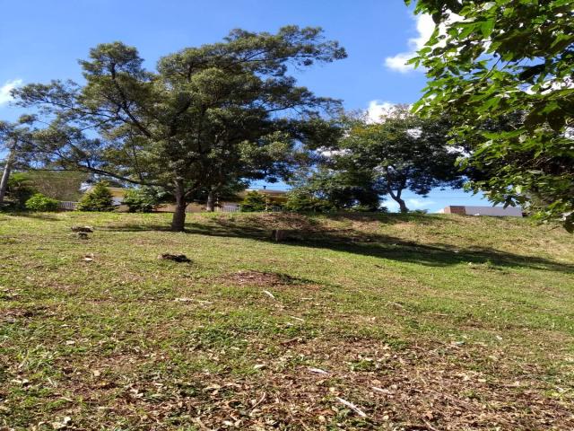 Venda em JARDIM INDAIA - Embu das Artes