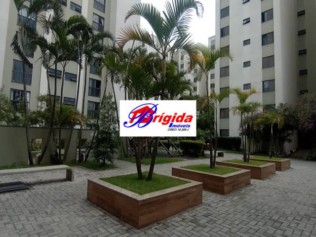 #AP198 - Apartamento para Locação em São Paulo - SP - 3