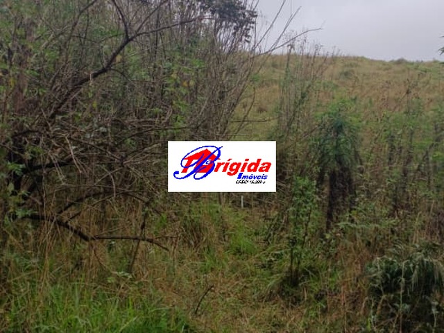 #TE234 - Terreno para Venda em Cotia - SP - 1