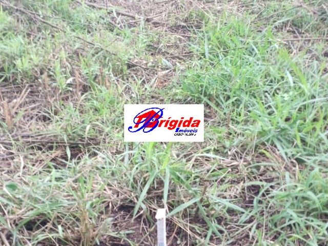 Terreno para Venda em Cotia - 4