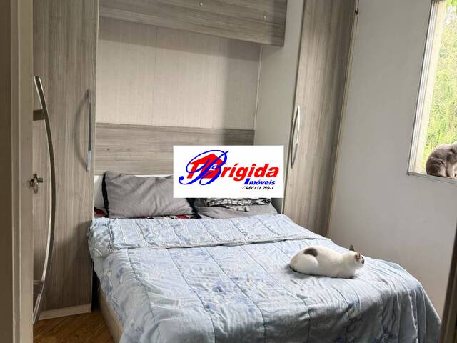 Apartamento para Venda em Jardim Torino - 11