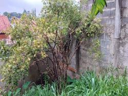 Terreno para Venda em Cotia - 2