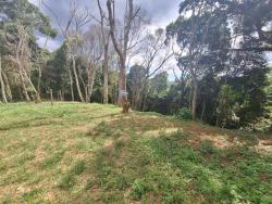 Venda em Chácaras Estância Panorama - Embu das Artes