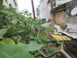 #TE0009 - Terreno para Venda em  -  - 3