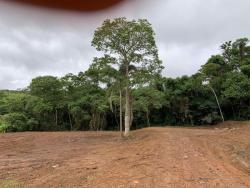 #AR0001 - Área para Venda em Embu das Artes - SP - 3