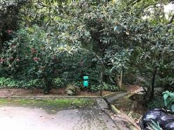 #TE0018 - Terreno para Venda em Jandira - SP - 1