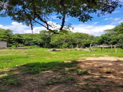 #AR0003 - Área para Venda em Cotia - SP - 2