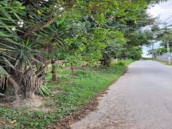 Área para Venda em Cotia - 5