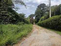 #TE0025 - Terreno para Venda em Cotia - SP - 2