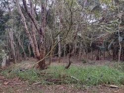 Terreno para Venda em Embu das Artes - 2
