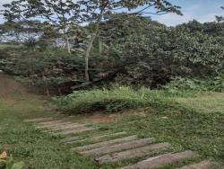 Terreno para Venda em Embu das Artes - 3