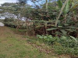 Terreno para Venda em Embu das Artes - 5