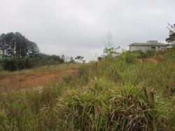 Terreno para Venda em Cotia - 3