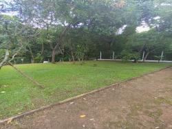 #CA0199 - Casa para Locação em Cotia - SP - 3