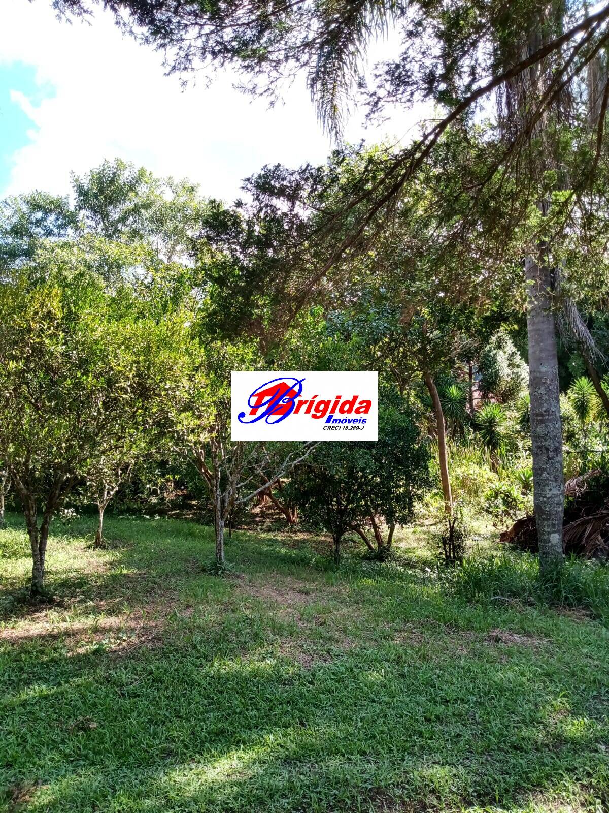 Chácara, 3 quartos, 2220 m² - Foto 3