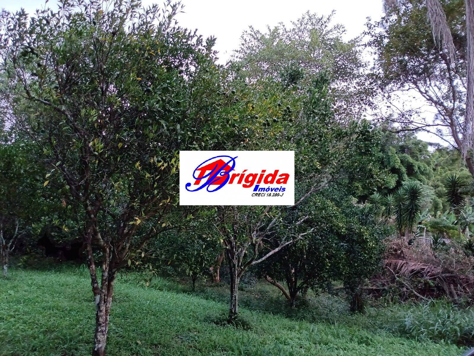 Chácara, 3 quartos, 2220 m² - Foto 7