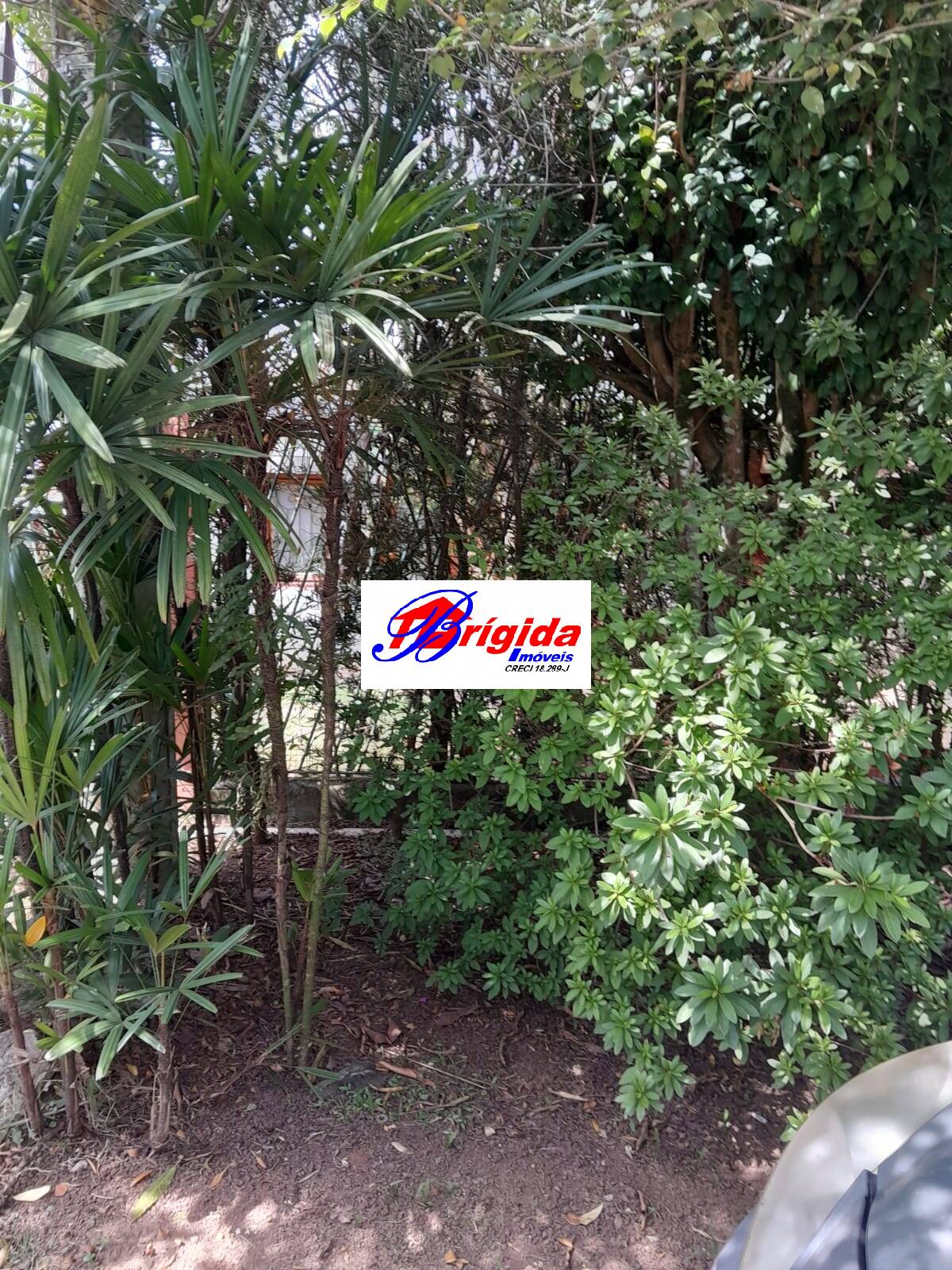 Casa, 3 quartos, 159 m² - Foto 103