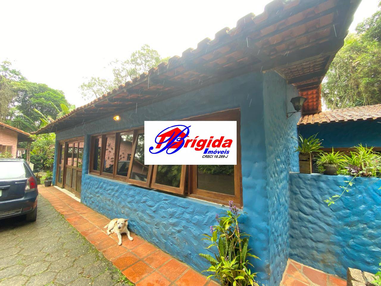 Casa, 5 quartos, 335 m² - Foto 19