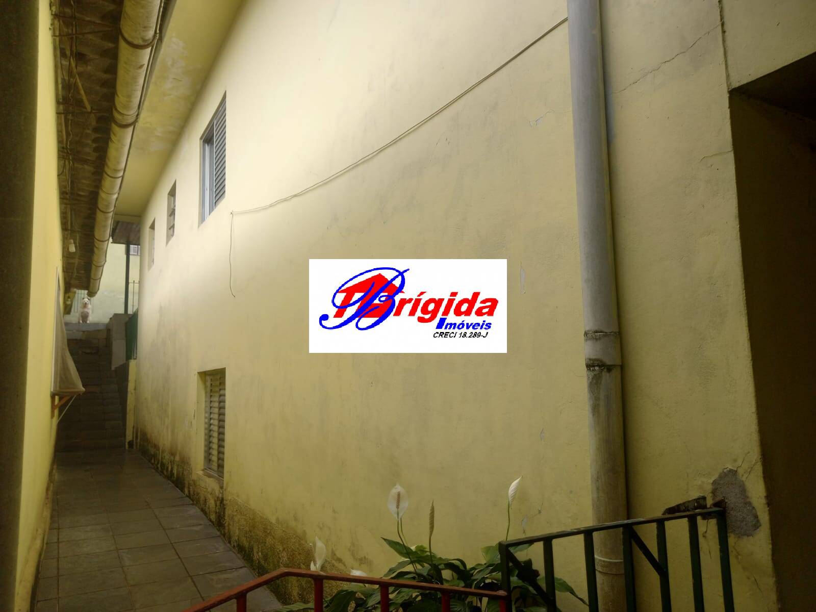 Casa, 8 quartos, 272 m² - Foto 6
