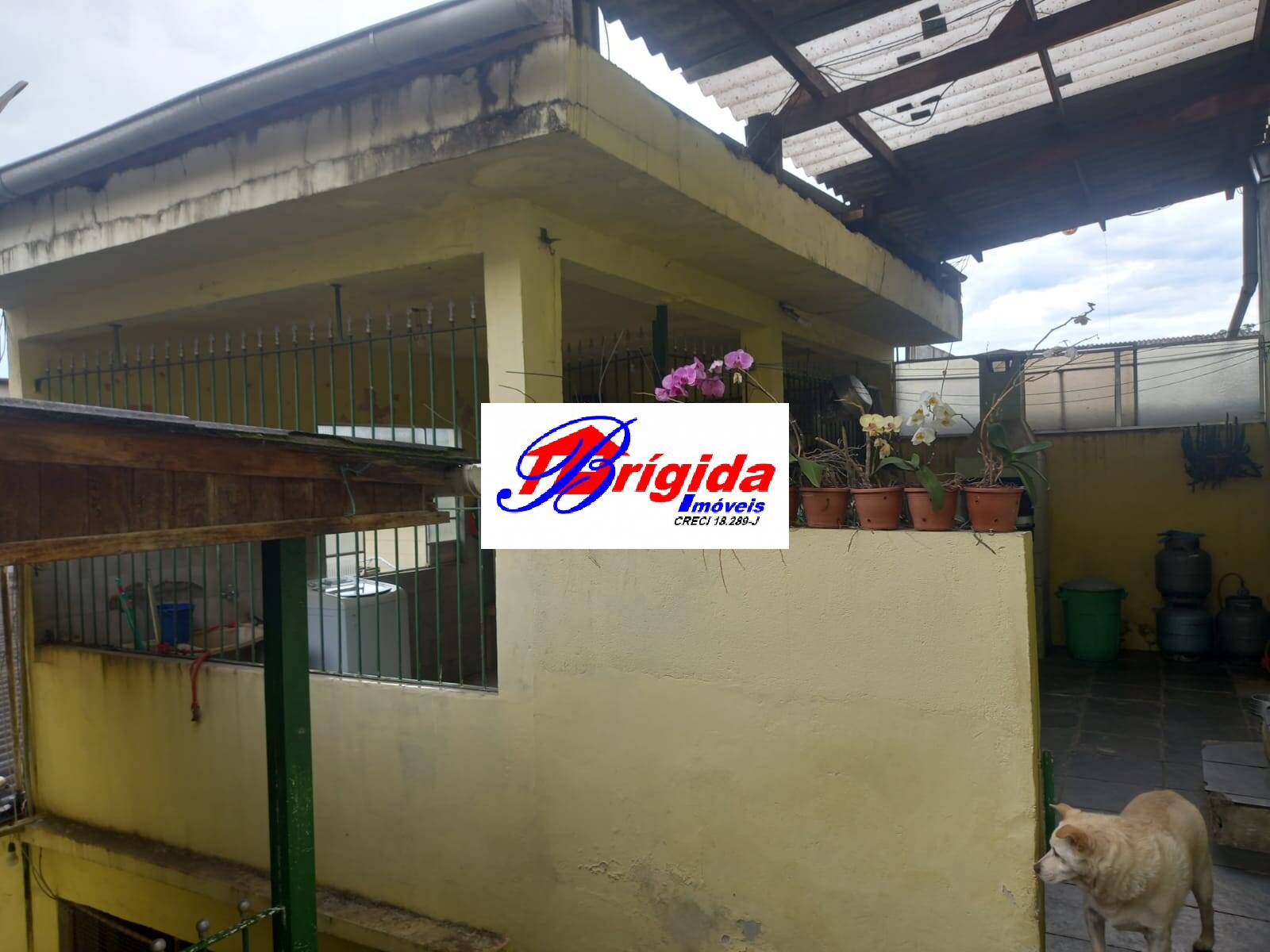 Casa, 8 quartos, 272 m² - Foto 11