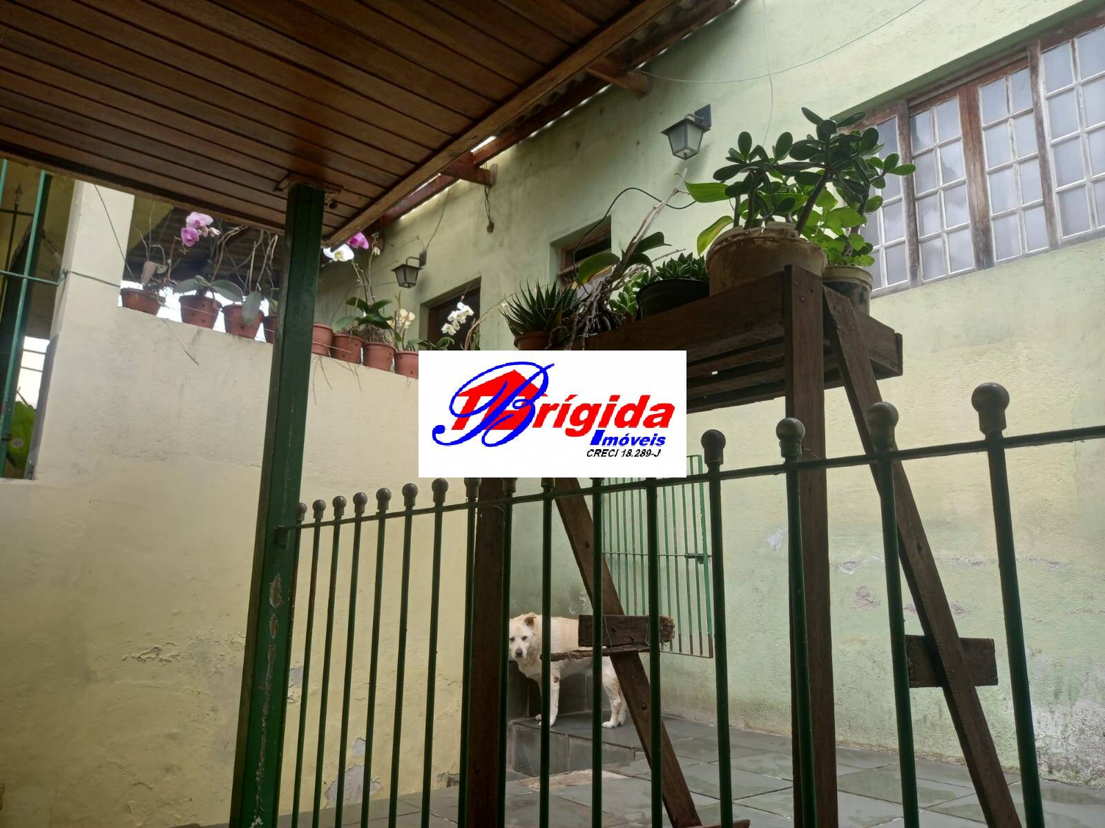Casa, 8 quartos, 272 m² - Foto 25